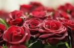 Last Minute Valentines Day Gifts  Ideas for the Romantic at Heart