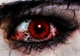 images?q=tbn:ANd9GcSquJr4LVG1hrboAHPbq1zeKPRnhjPZ4b51vZP4TAyk2BqxiR796CQQTDka