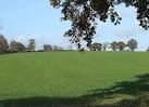 Clover Field, near The Bold, Shropshire - via Daymix