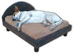 Dog Beds - Dog Furniture - Orthopedic Dog Beds - Memory Foam Dog ...