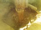 Replacing Cedar 
Piers Austin F ...