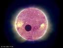 Lunar Distance Astronomy