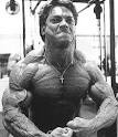 top bodybuilders