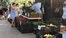 WHAT IS CSA? | Just Food