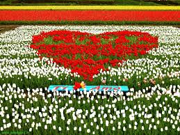 cuore floreale