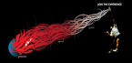 Badminton World Federation (