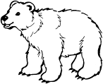 Polar Bear coloring page