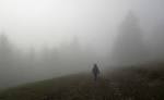 D walking into the mist | Field Notes From Fatherhood