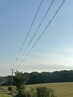 Swallows and house martins near Langton Matravers. Lined up on the power - via Daymix