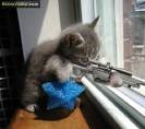D@MD@Ki.KeDi