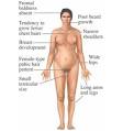 Klinefelter Syndrome - Health - Beliefnet.