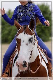 ROM Amateur Horsemanship für Specks Peach Bars und Sophie Schonauer Die 16-jährige tobiano Paint Horse Stute ...