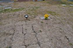 Lisa Marie Rouse Millo (1963 - 2010) - Find A Grave Memorial - 80405658_132210070113