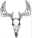 deer tattoos