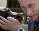 boy model tonikの画像 - 156617-russias-prime-minister-vladimir-putin-pets-labrador-dog-tonik-during-h