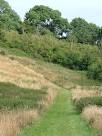 On the nature trail at the National Herb Centre, nr Banbury - via Daymix