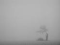 NEBBIA pronunciation