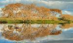 galleries of landscape photos and pictures | newphotosgaller ies.