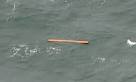 AirAsia flight: teams retrieve bodies from Java Sea | World news.