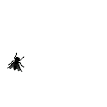 Flies Animated GIFs 