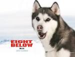 Eight Below max picture, Eight Below max photo, Eight Below max ...