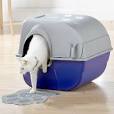 Green your cat litter: Eco-friendly alternatives and ways to reuse ...