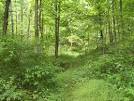 Scioto Trail State Forest Park Hiking Trails Pictures Movie