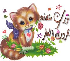 http://t2.gstatic.com/images?q=tbn:ANd9GcSu26PYEQXy4luDK7LCUgSbXyetqjAszpnDBEendNMAi8nA9ink4Q