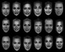 Face Perception « The Phineas Gage Fan Club