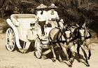 http://www.loscaboshorses.com/images/Carriage-antiquegrayscale-1.jpg