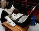 Las redes sociales son la moda - via Daymix