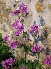 flower arranger's delight, - via Daymix