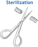 Sterilization