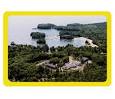Camp Sunshine
