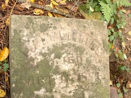 ... Mary E., adopted daughter of D. H. \u0026amp; M. J. Johnson, died. August 28, 1869, age 16 years. Gillies Father Mary Gillies DIED Oct. 16, 1881 - Mary_Gillies