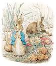 Rabbits | The Society for Abandoned Animals