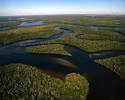 Florida Everglades