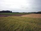 There appears to be two types of grain (barley? - via Daymix