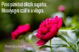 http://t2.gstatic.com/images?q=tbn:ANd9GcSvG8WacWovLP4KVoaBLbHx17MNymhTE3WQNBvg3ZPCOZVGs0VJ