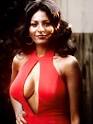 Pam Grier Image Pam Grier   Screened Picture 4
