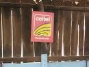celtel sex tape
