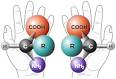 Chirality (chemistry) - Wikipedia, the free encyclopedia