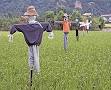 Scarecrow - Wikipedia, the free encyclopedia