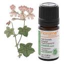 Top 10 Anti Aging Essential Oils | ifood.