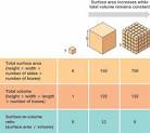 Dinosaurs and the Mystery of Body Temperature III: Intertial ...