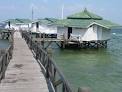 Bidadari Island Tours | Jordi The WaterBoy