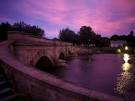 Life in Color: Purple, Purple Photos -- National Geographic