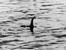 LOCH NESS MONSTER Picture: Looking for Nessie for 81 years.