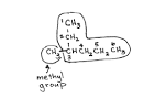 Alkane Nomenclature