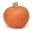 Cook's Thesaurus: Squashes &amp; Gourds